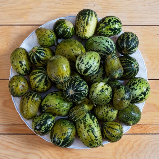 Kelek Turşusu 250 Gr
