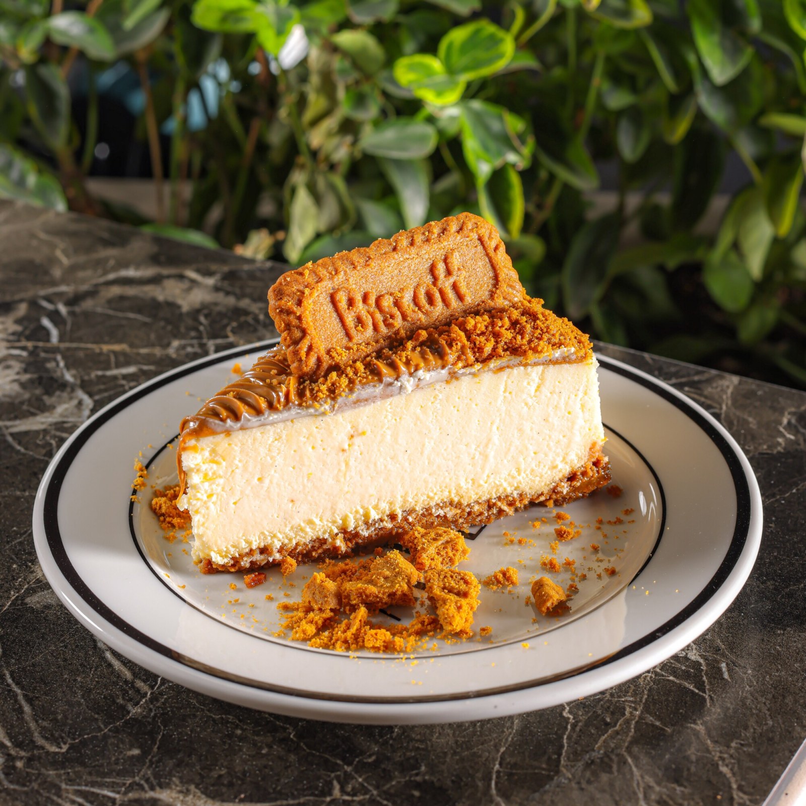 Lotus Cheesecake