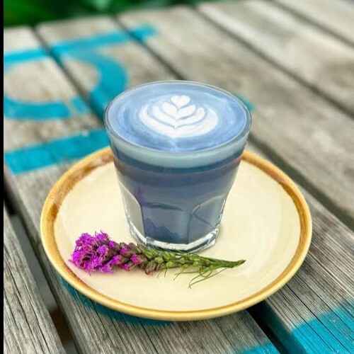 Blueberry Matcha