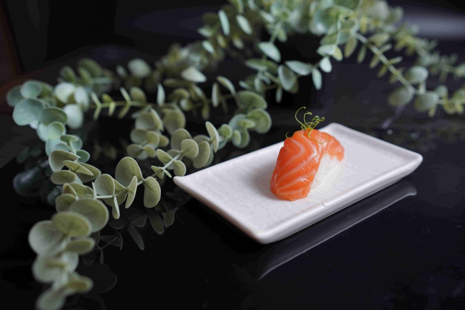 Sake Nigiri