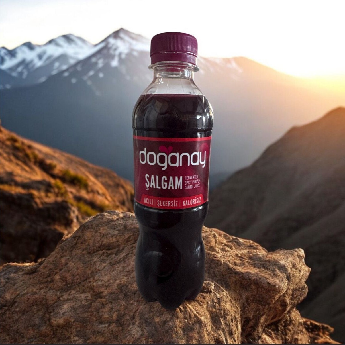 Doğanay Şalgam Suyu
