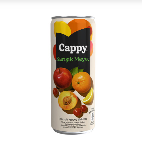 Cappy Karışık (33 Cl)
