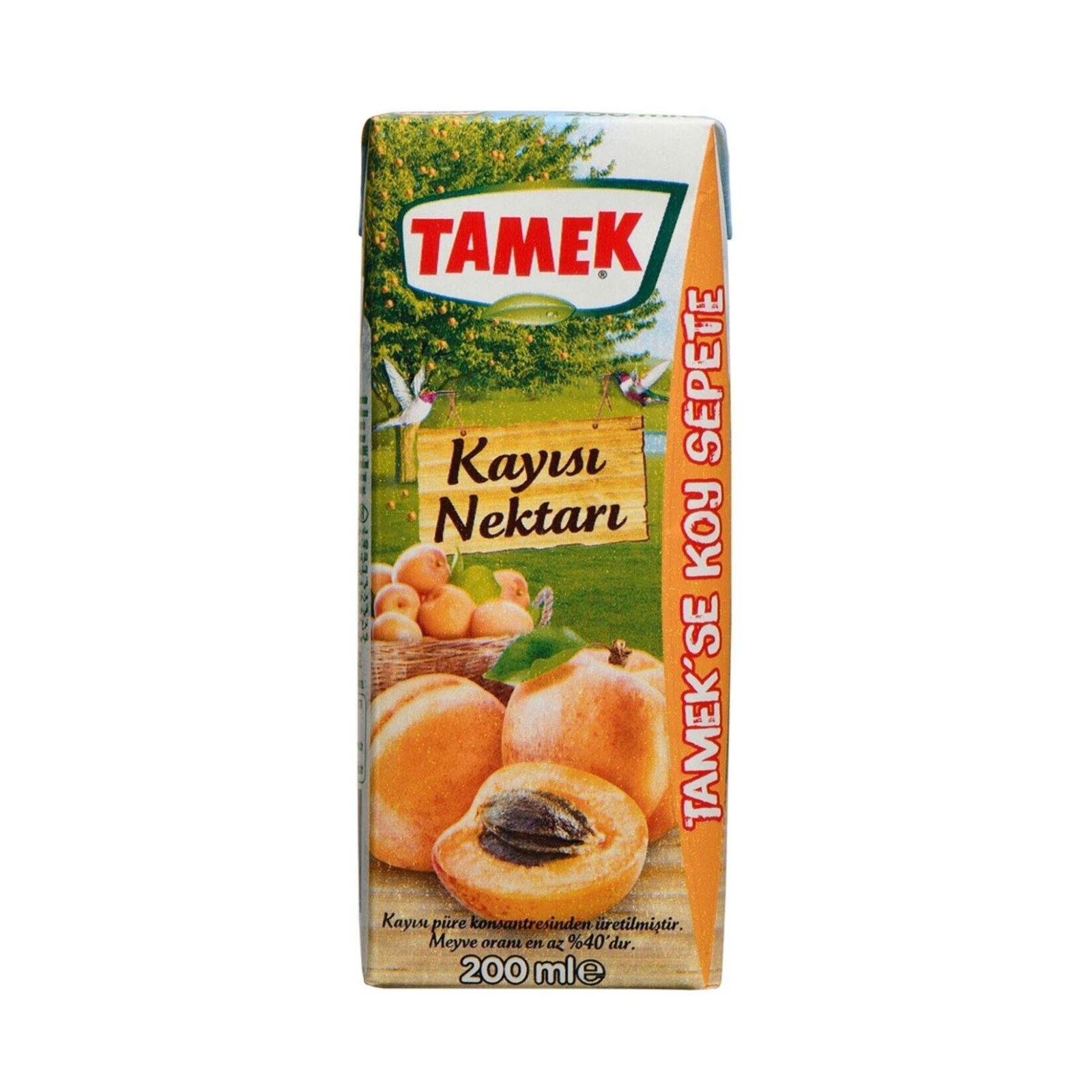 Tamek Meyve Suyu (20ml.)