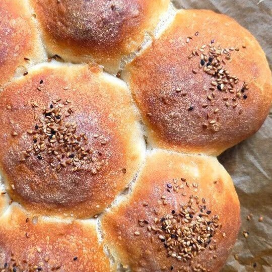 Papatya Ekmeği