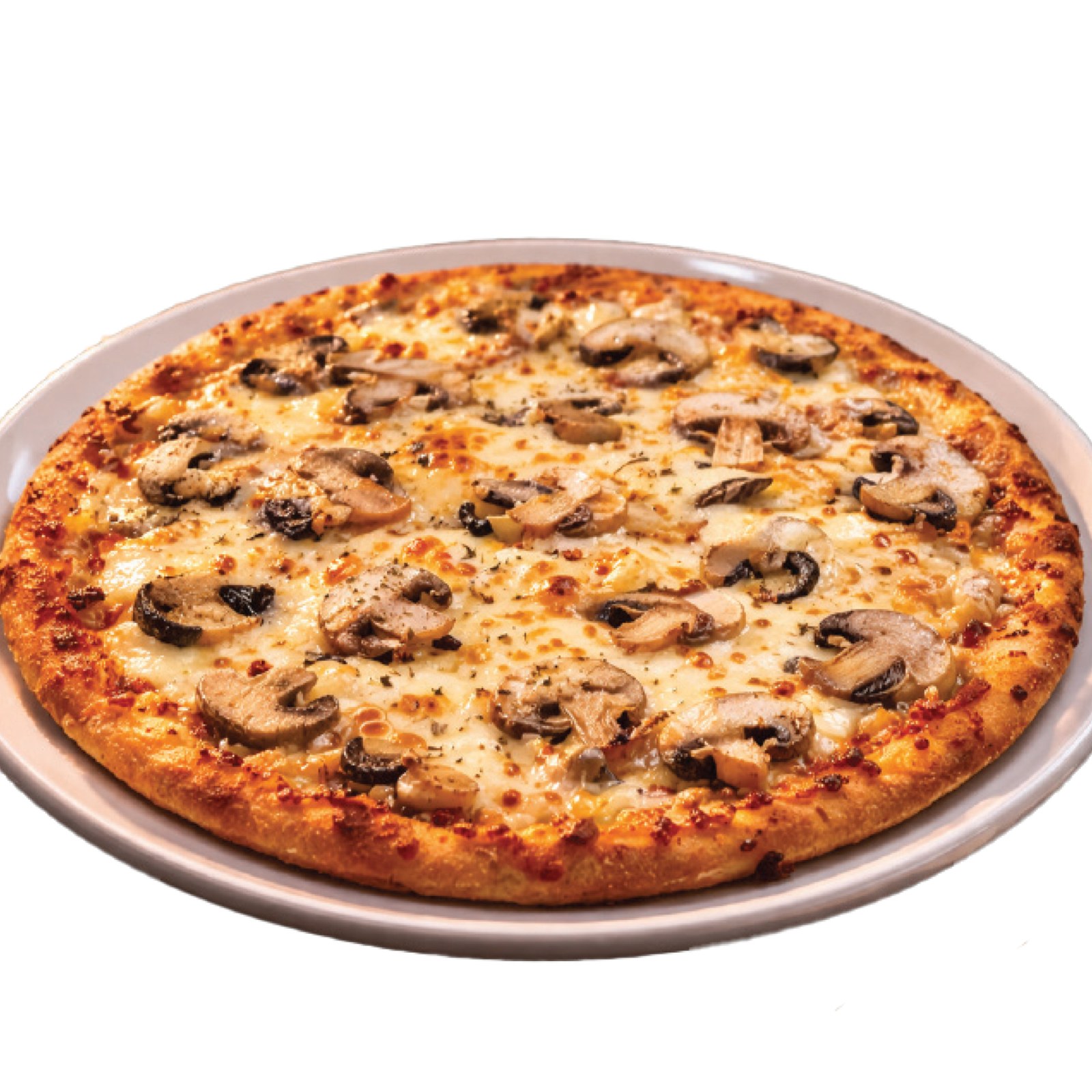 Pizza Funghi