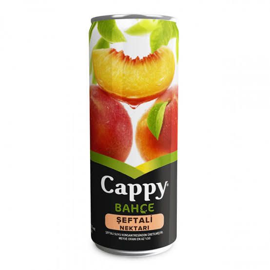 Cappy Şeftali (33 cl)