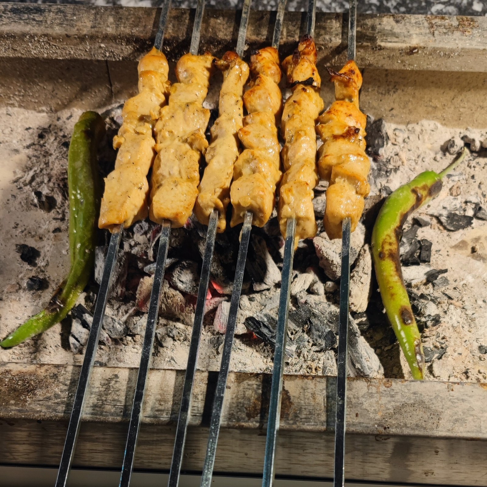 Terbiyesiz Tavuk