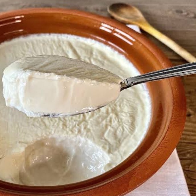 Taptaze Yoğun Kıvam Yoğurt Turkish Yoghurt