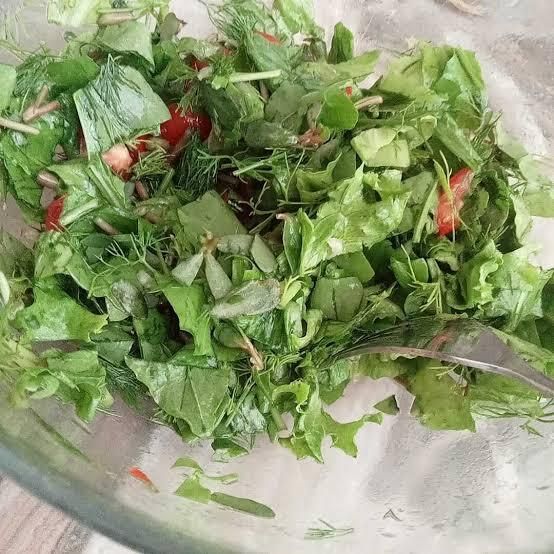 Yeşil salata