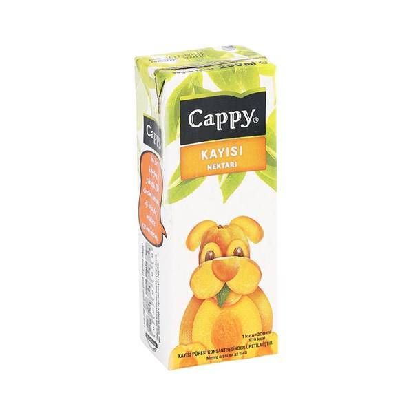 Kayısılı Cappy Meyve Suyu (Pipetli Kutu)