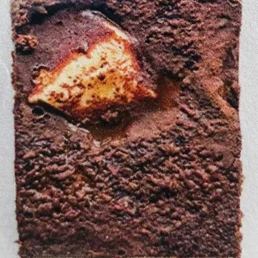 Fit Brownie