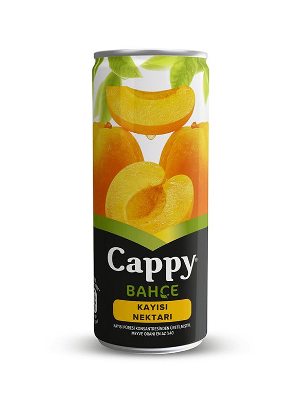 Cappy Kayısı (330ml Kutu)