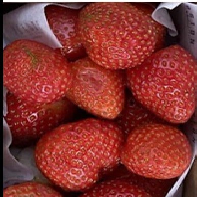 Çilek