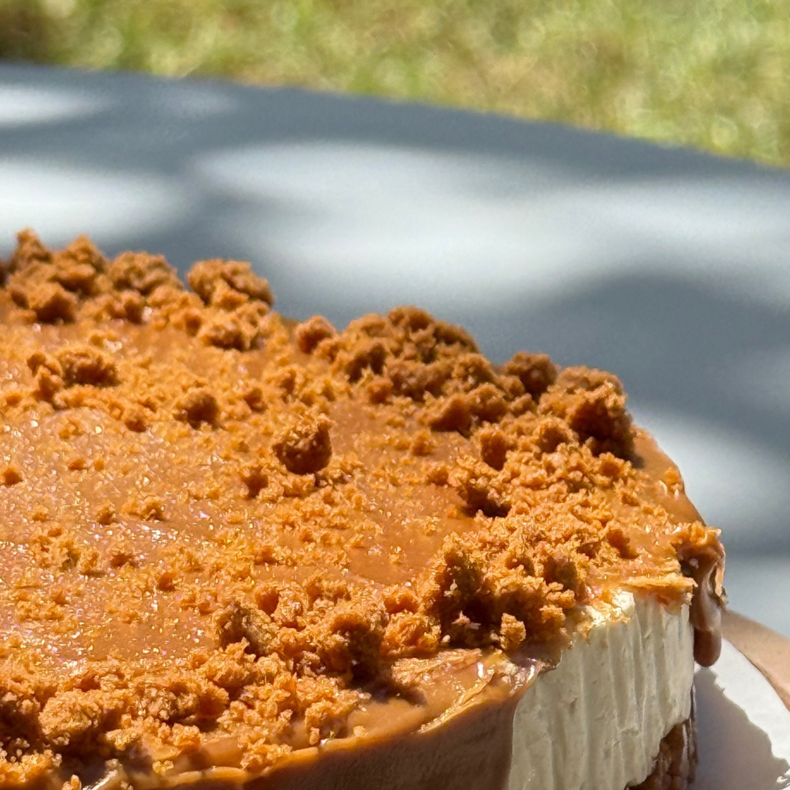 Lotus Cheesecake