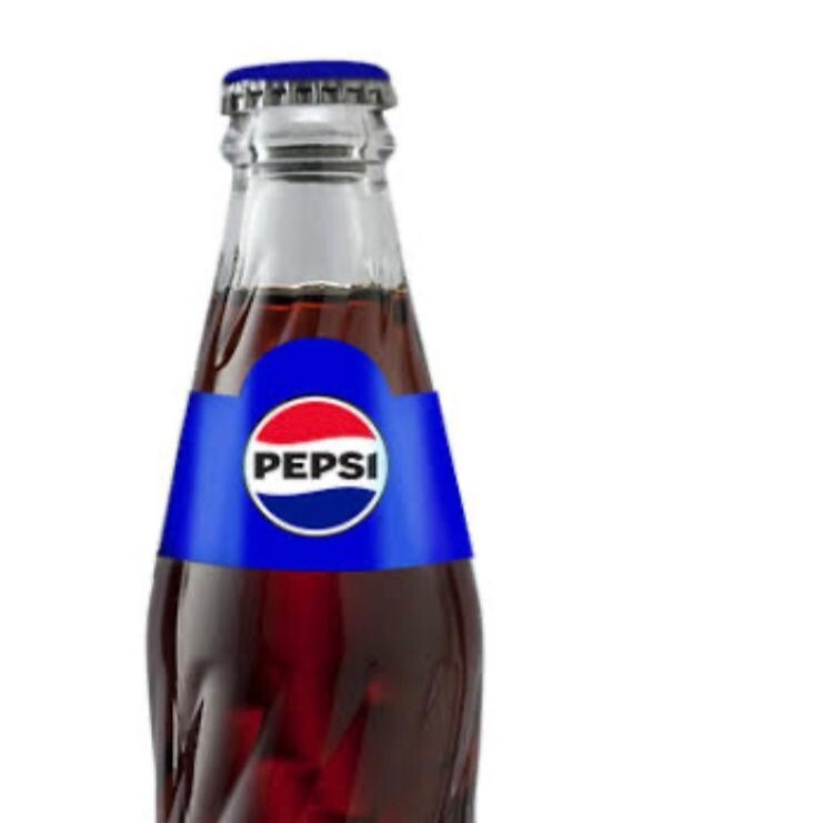 Pepsi Şişe (200 ml.)
