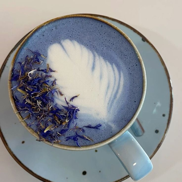 Blue Matcha Latte