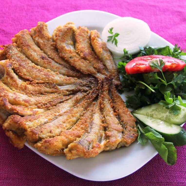 Mezgit Tava