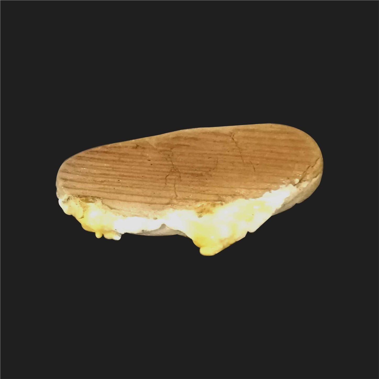 Diyet Peynirli Tost