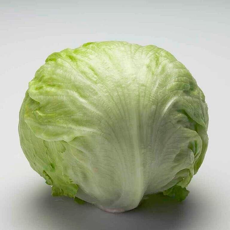 Iceberg Marul (Yarım)