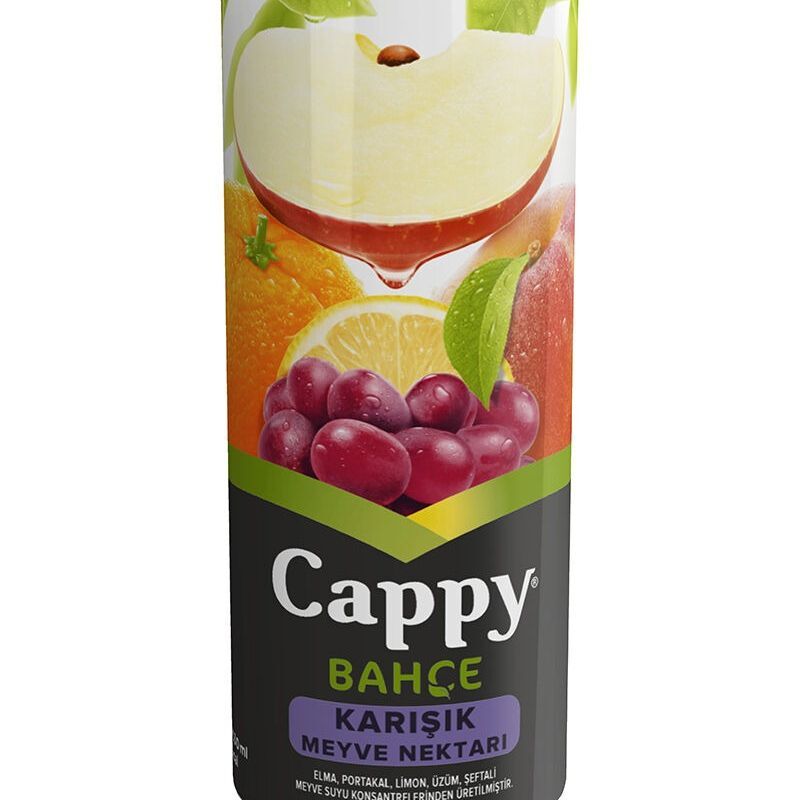 Cappy (33 cl.)