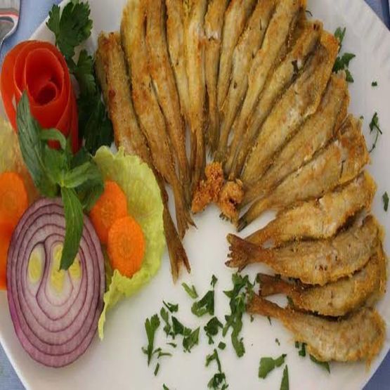 Mezgit (1 kg)
