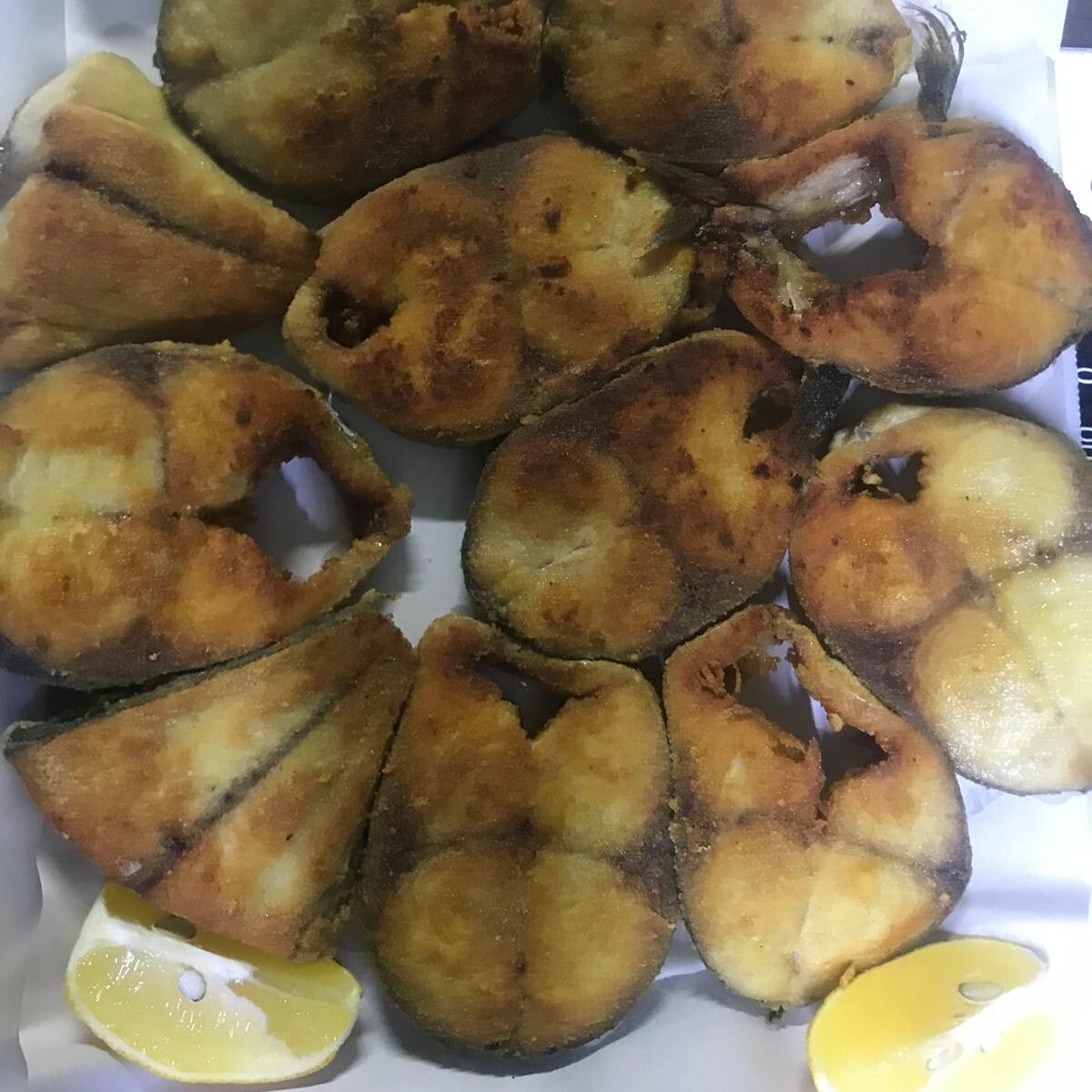 Karadeniz Palamut tanesi 1300kg