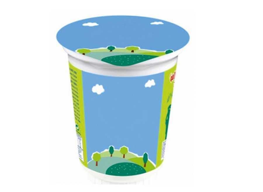 Kapalı Ayran (270 ml.)