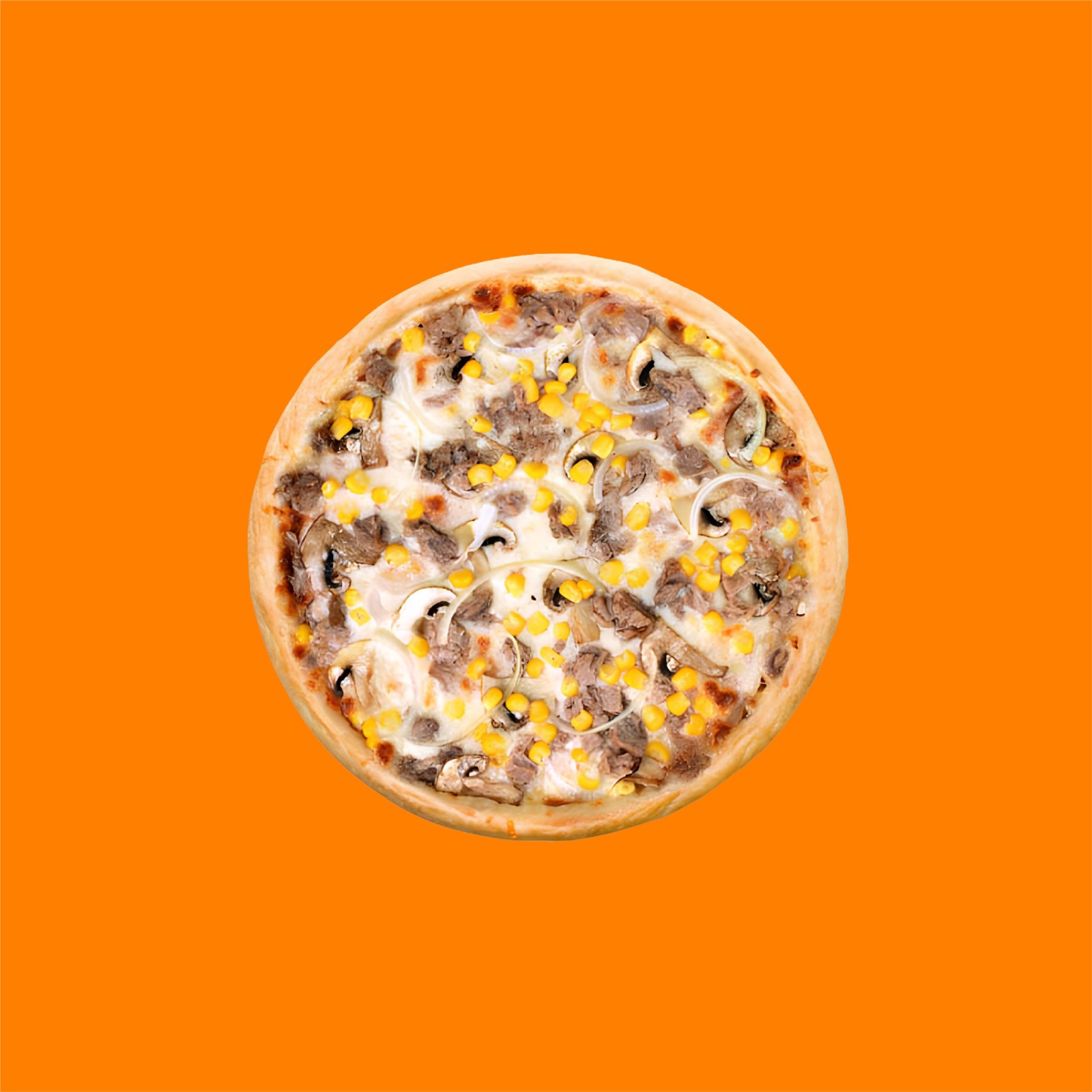Ton Balıklı Pizza