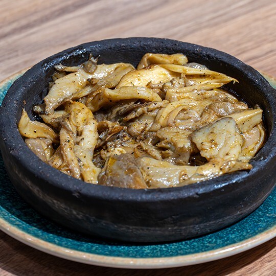 İstridye Mantarı