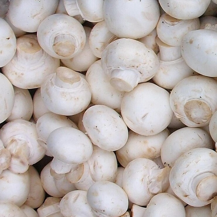 Extra Mantar 50gr