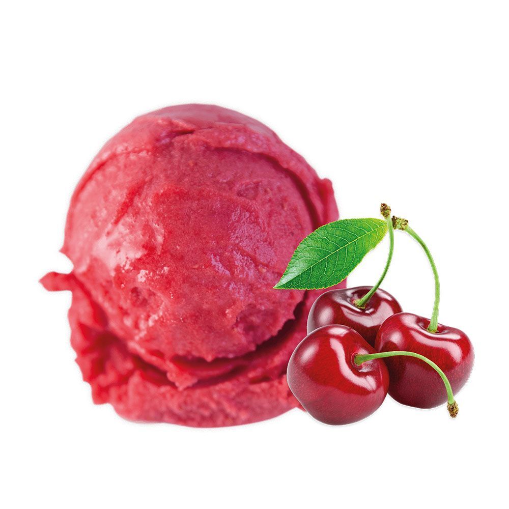 Vişneli Dondurma 500 gr