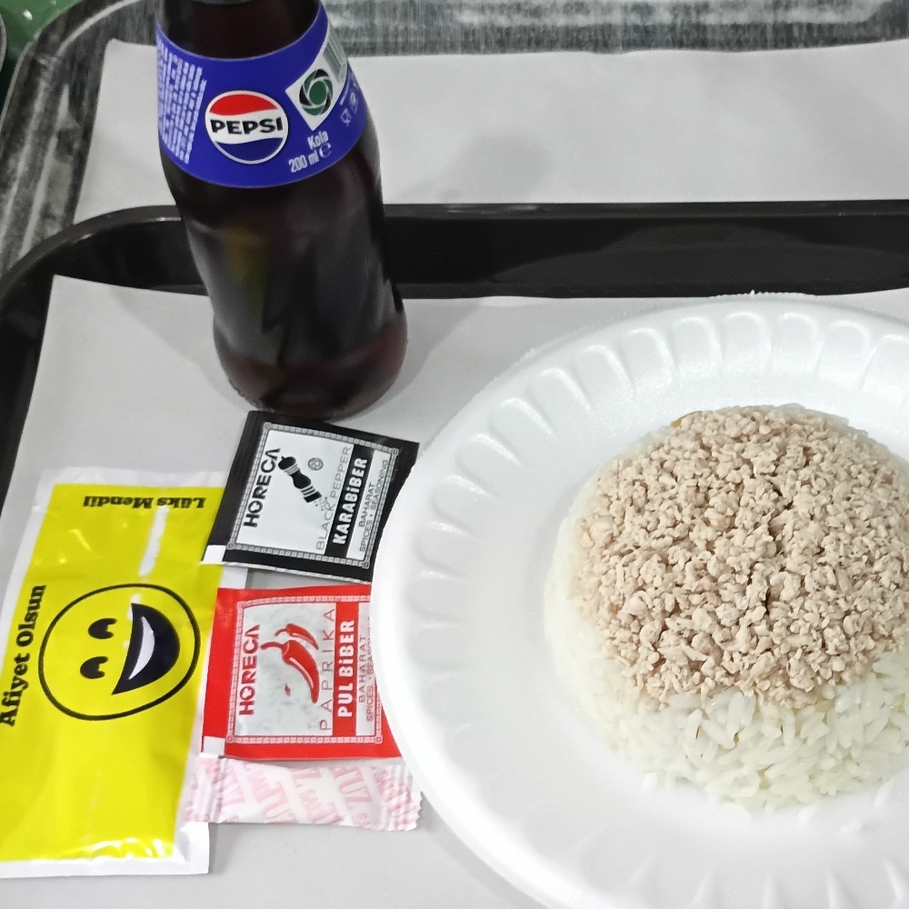 Tavuklu Nohut Pilav + Pepsi şişe (200 ml)