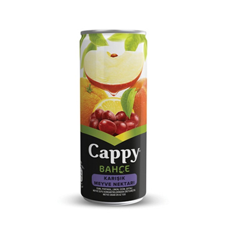 Cappy Karışık (250 ml)