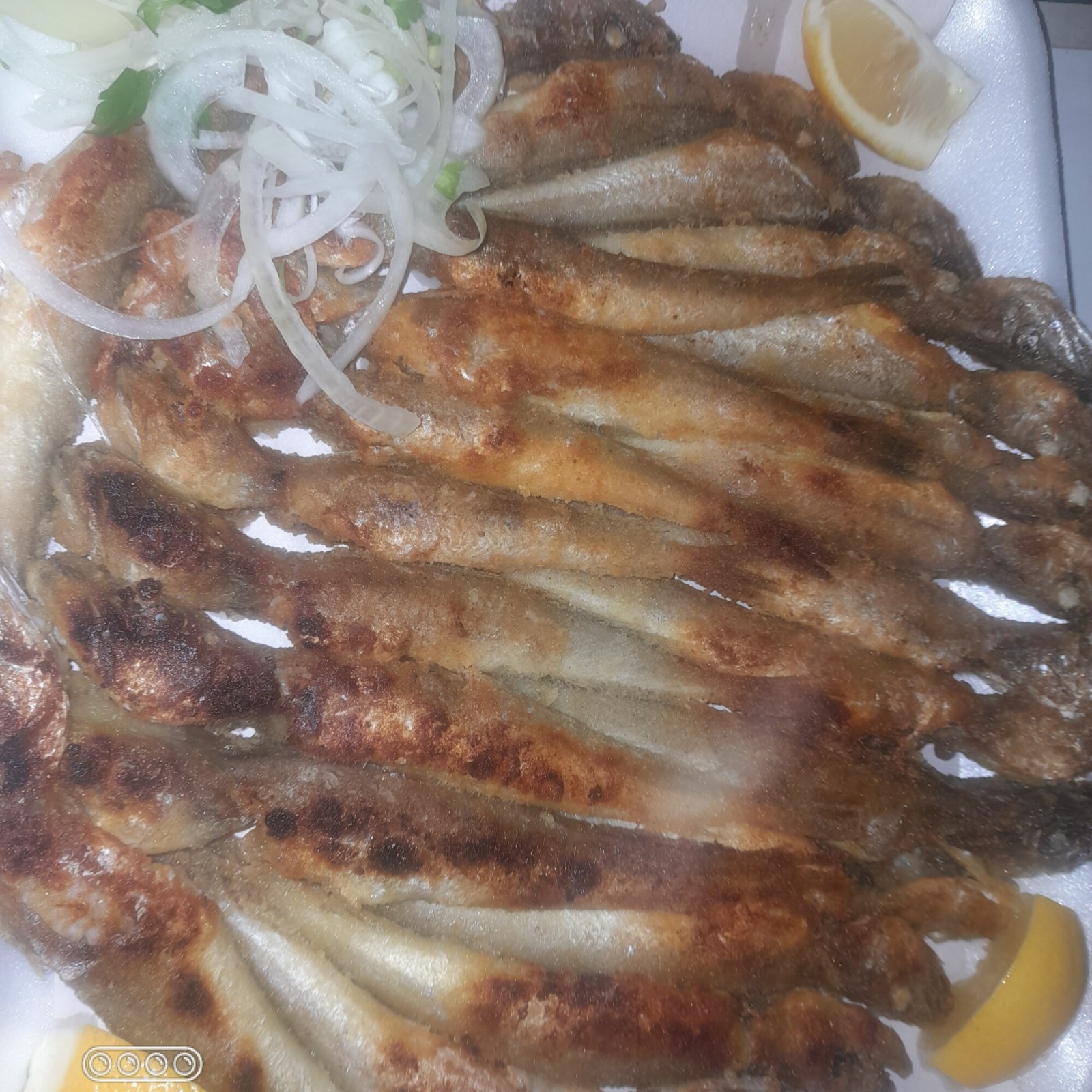 İstavrit 500 gr 2 Meze 1 Salata 1 Ekmek