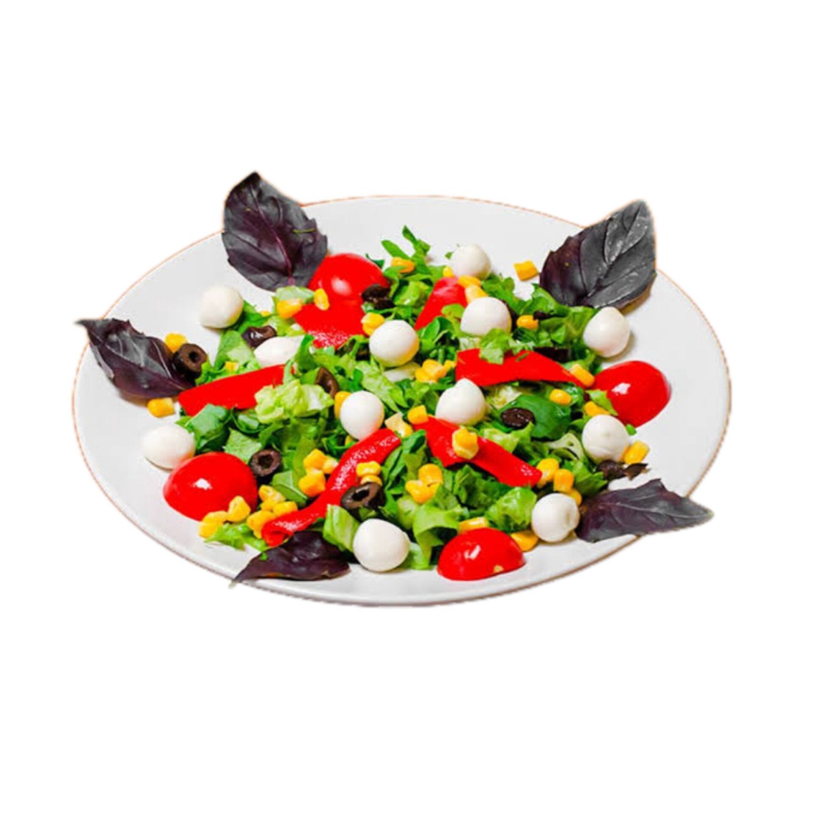 Wogg Special Salata