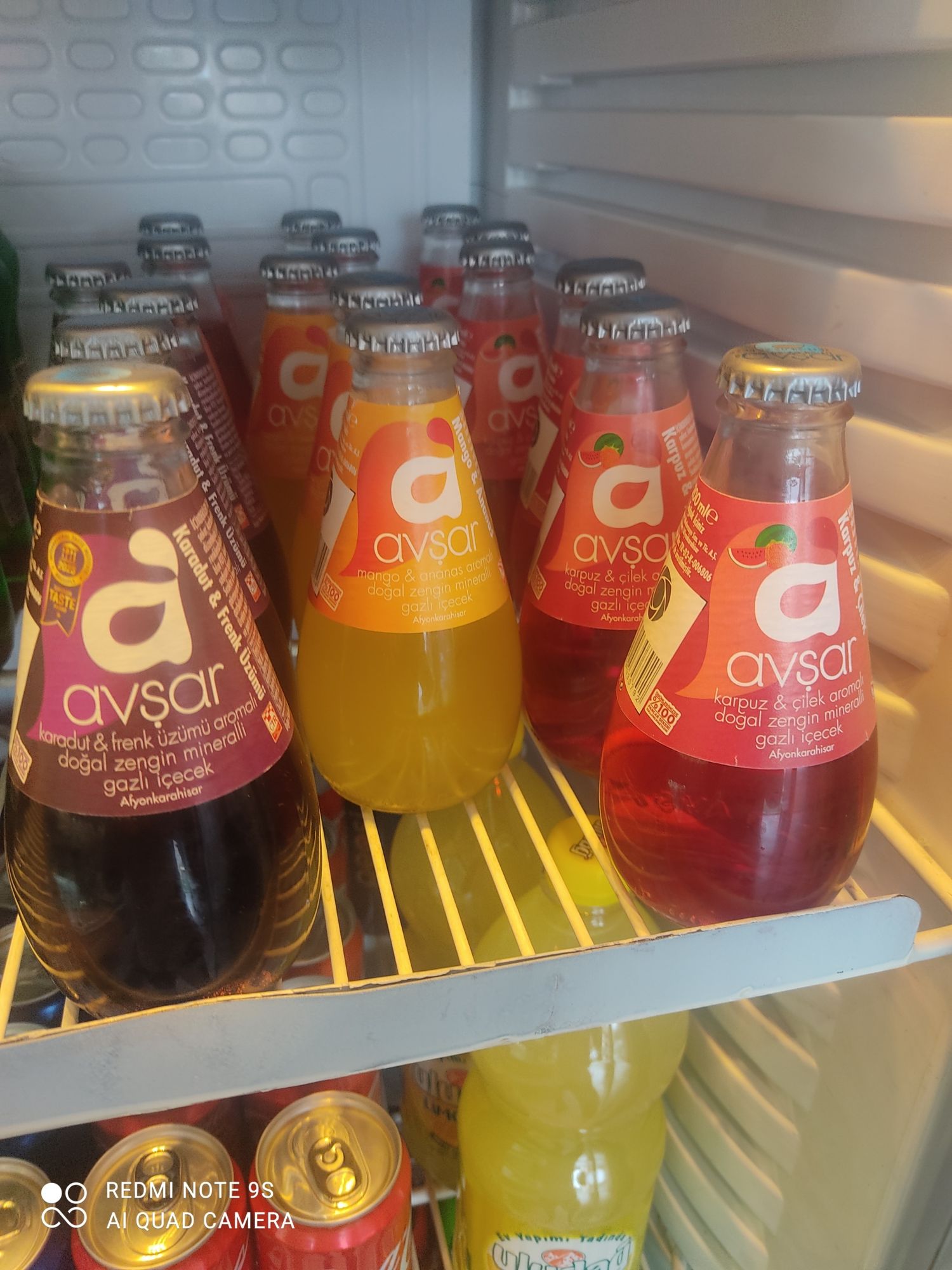 Meyveli Soda (20 cl.)