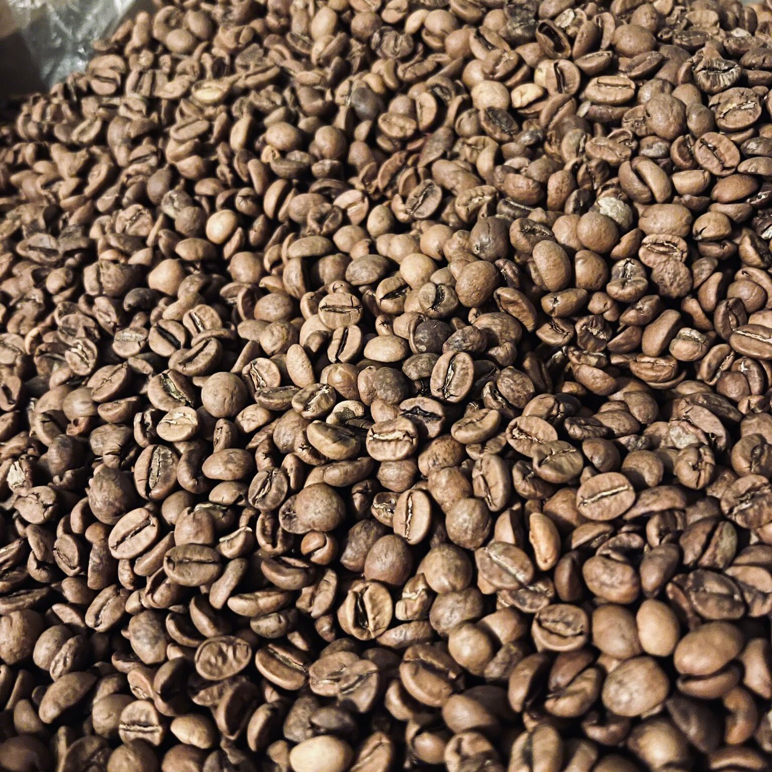 1 Kg Türk Kahvesi (orta kavrulmuş)