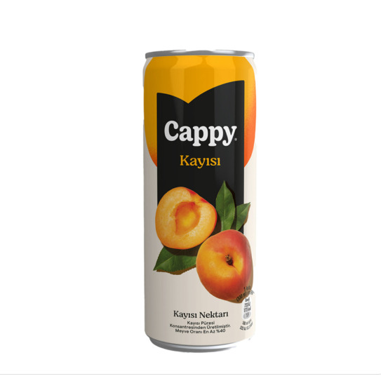Cappy Kayısı (33 Cl)