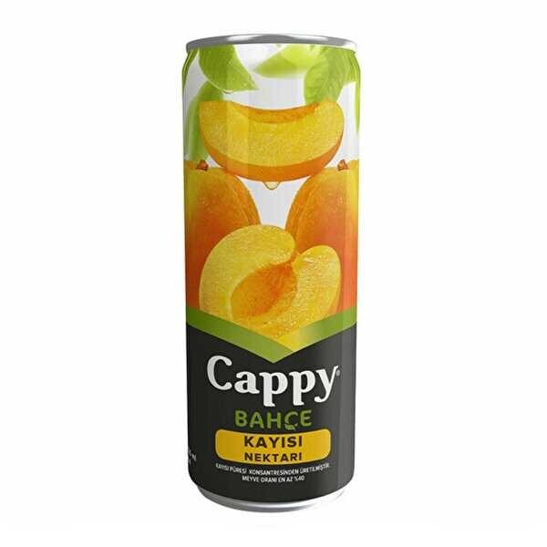 Cappy Kayısı (33 Cl)