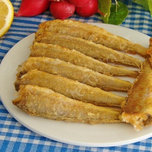 Karadeniz Mezgit Tava (1 Kg)
