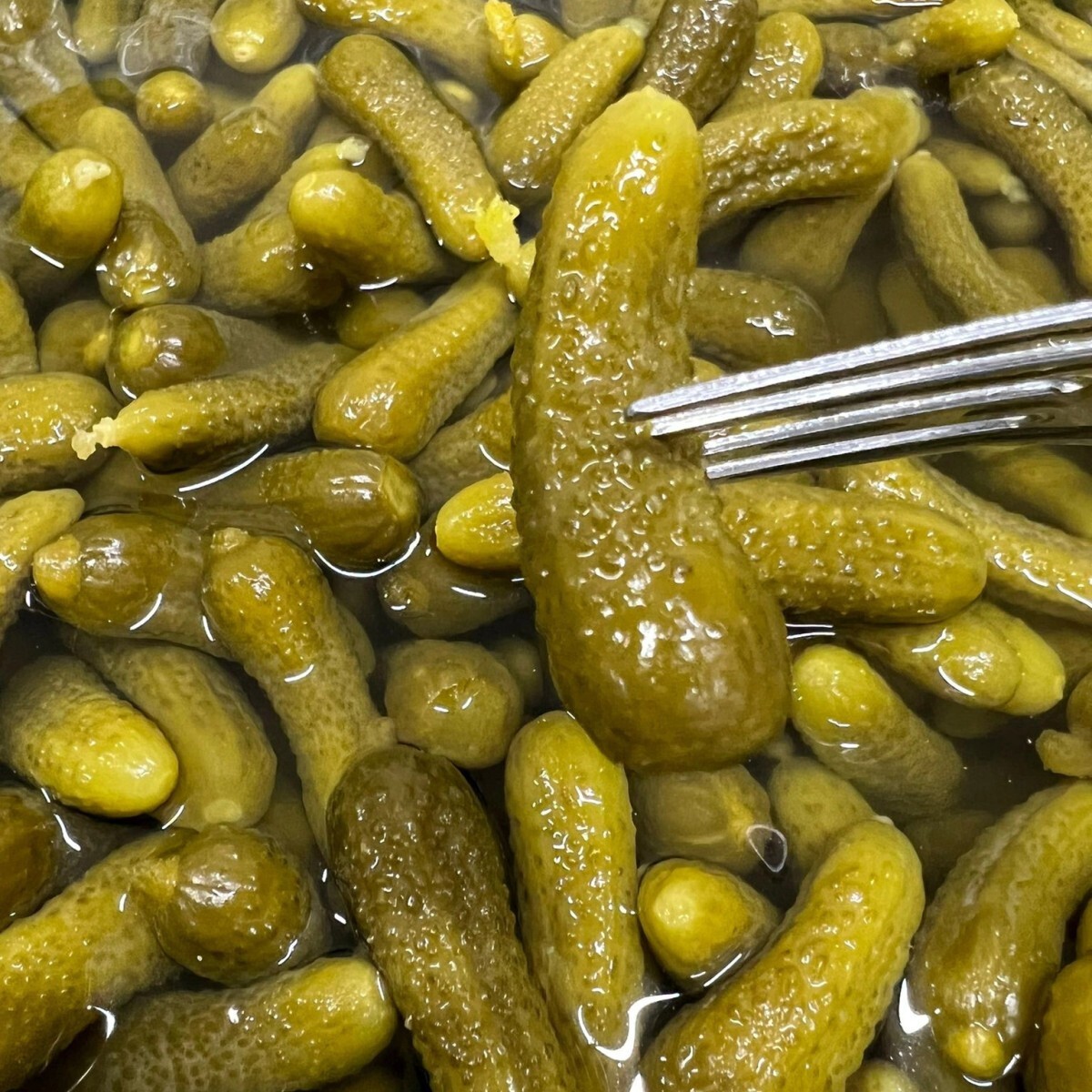 Kornişon Turşu (1 kg.)