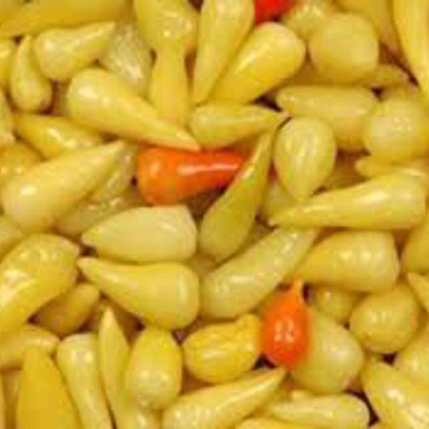 Tombul Biber Turşusu (150 gr) Paket