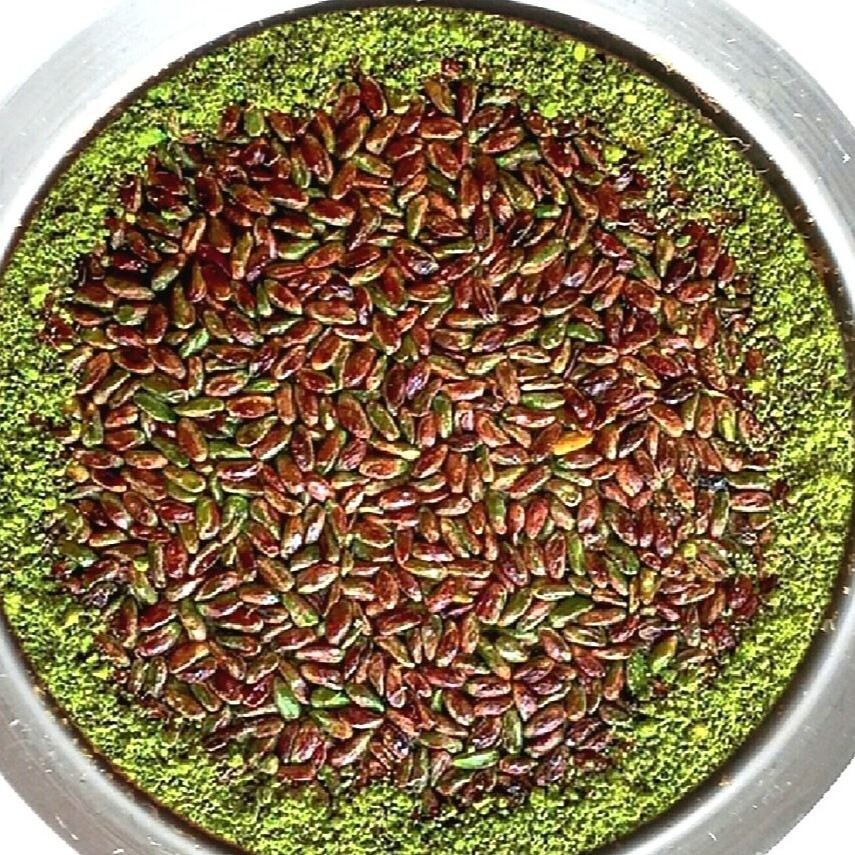 Fıstıkzade (4 Kişilik)