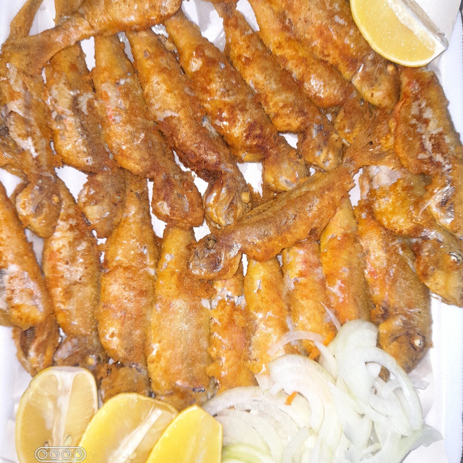 Tekir Barbun 1 Kg