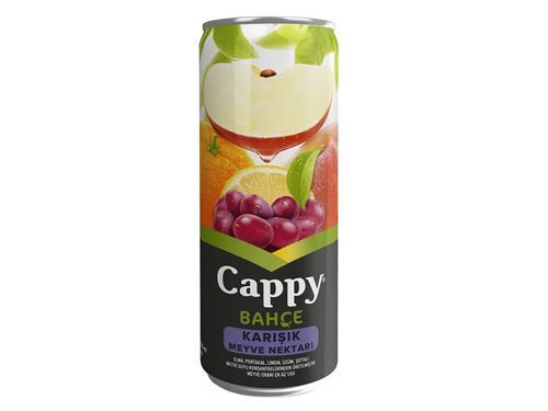 Cappy Meyve Suyu Çeşitleri Karışık 330 ml