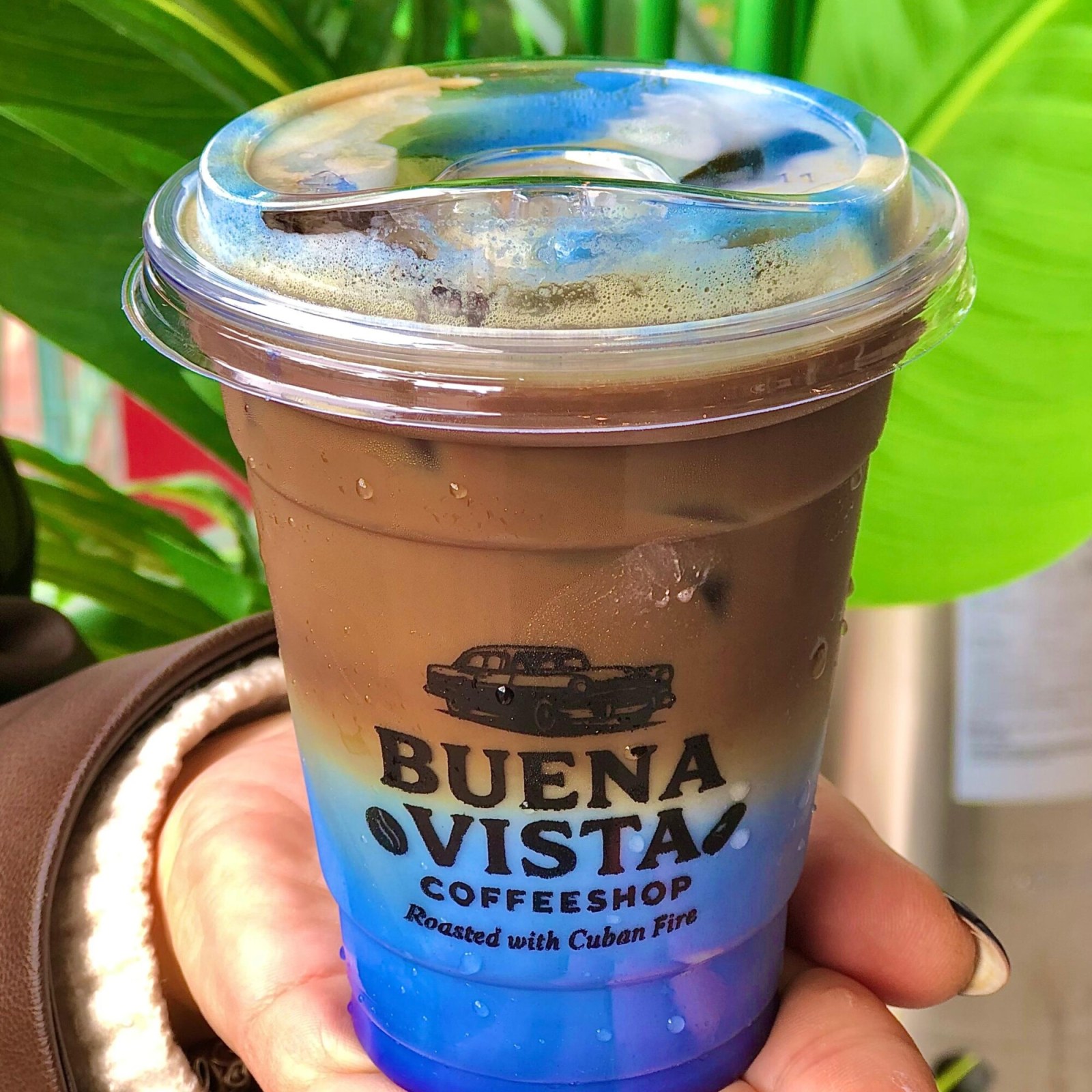 Iced Blueberry Matcha Coffee