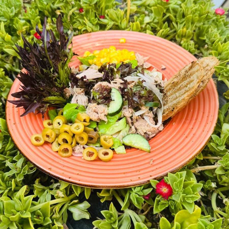 Ton Balıklı Salata