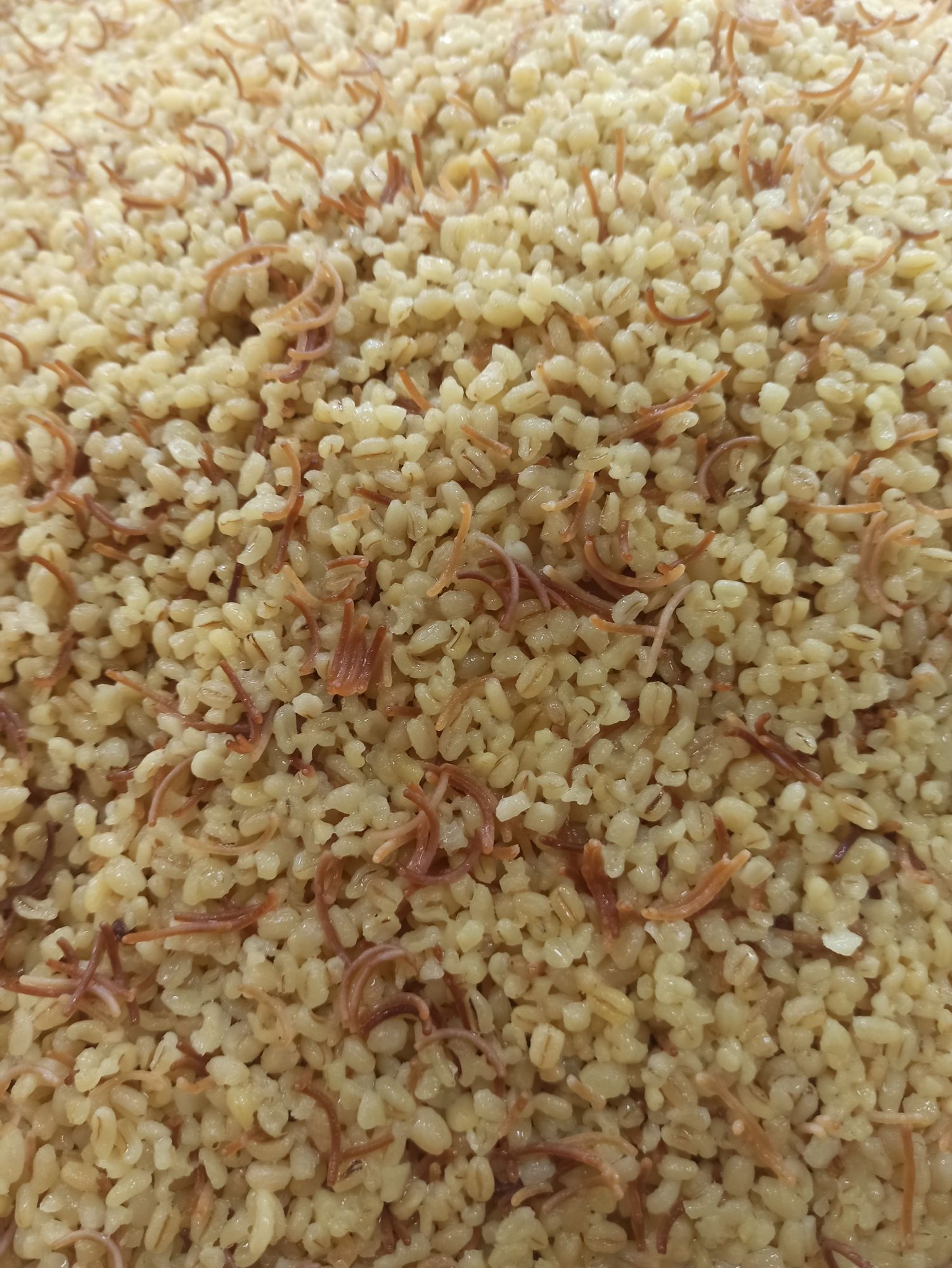 Bulgur Pilavı