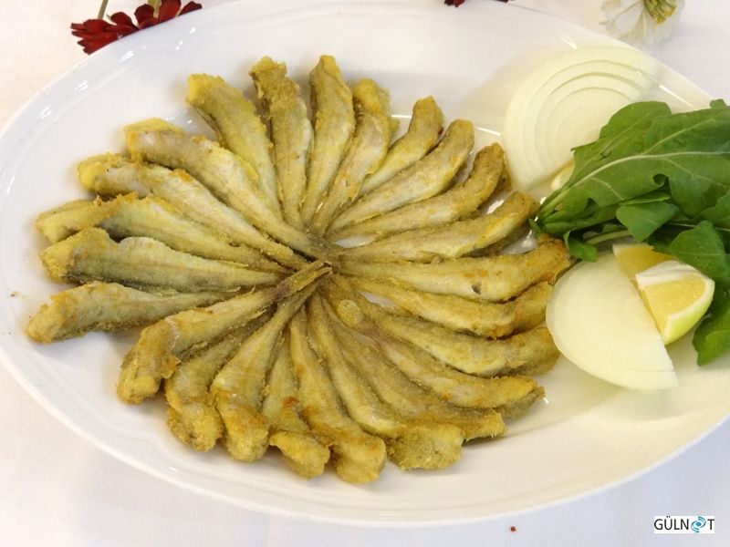 Mezgit Tava