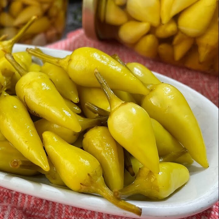 Cin Biberi